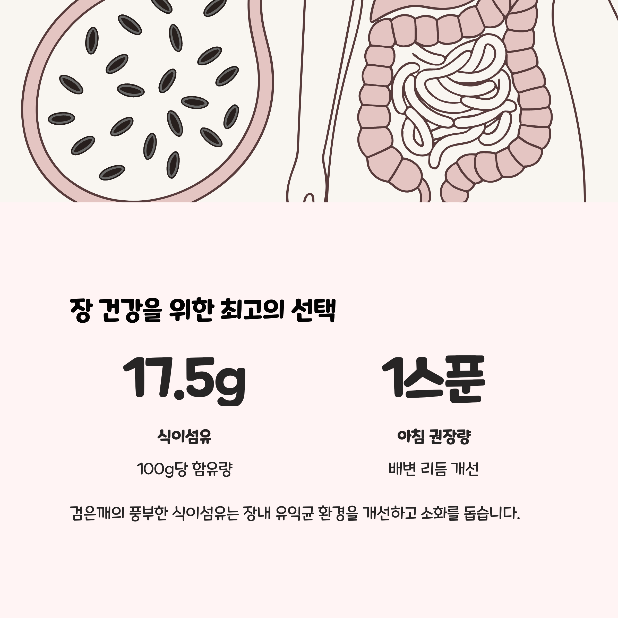 장 건강을 위한 자연식이섬유 공급원