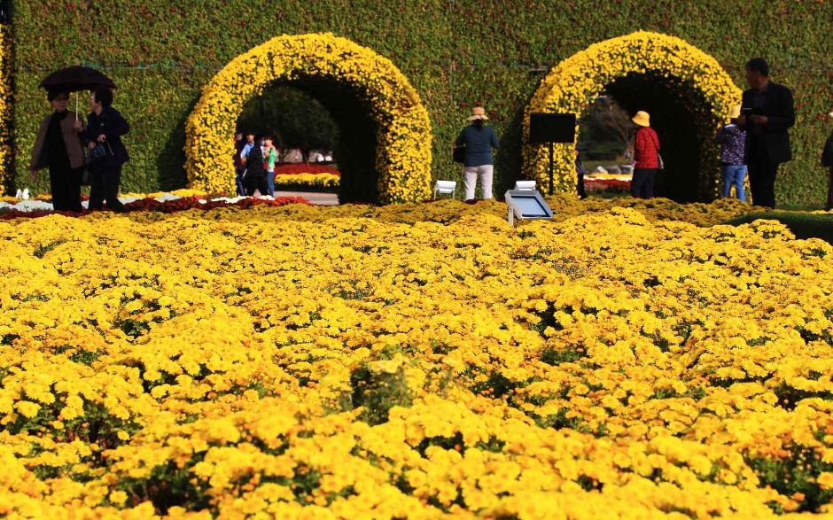 10월 지역 축제 가을 축제