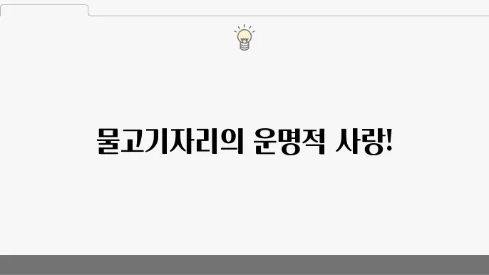 물고기자리 사랑의 궁합 지표