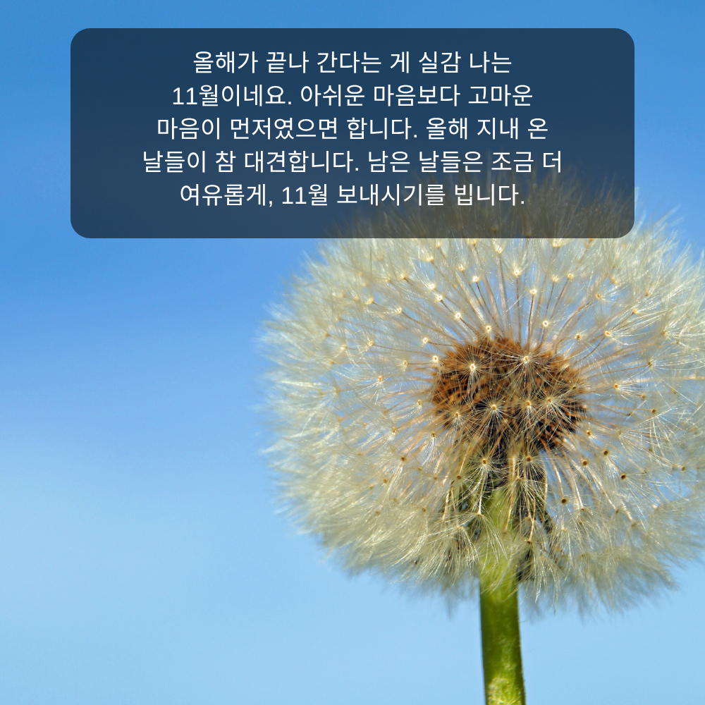 11월 인사말 19 올해가 끝나가는 11월 감사 인사말 이미지