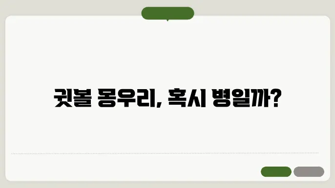 귓볼 몽우리