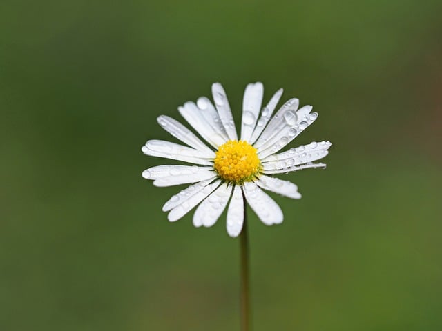 선(禪)과 교육의 만남