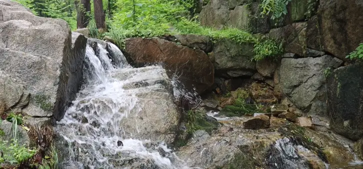 capture-20250716-173751