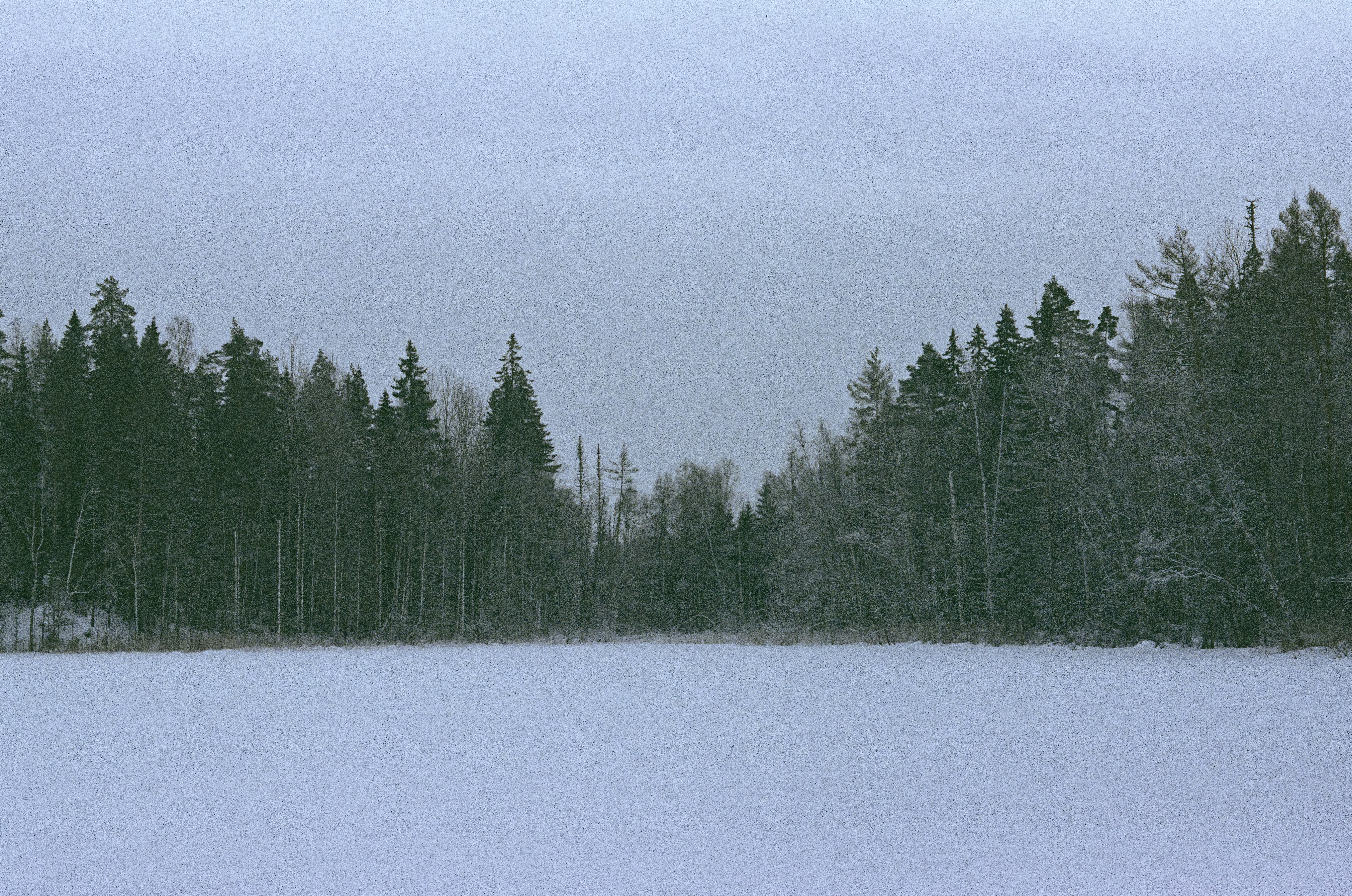 필란드 라플란드