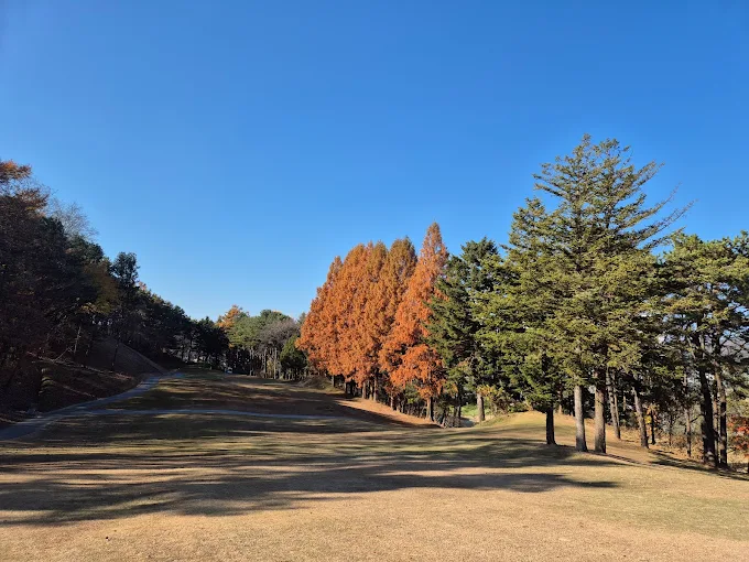 경기도 용인 양지파인CC 골프장 소개 및 예약방법