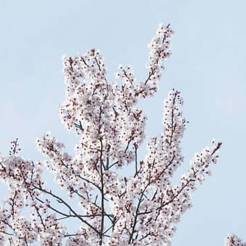 화장실에서 제로 웨이스트 실천과 재사용 및 퇴비화