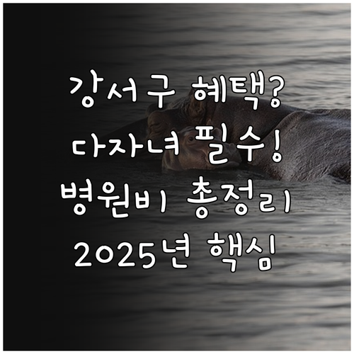 2025 강서구 다자녀 의료비 지원 ..
