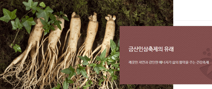 금산삼계탕축제 홈페이지 금산인삼축제 관련 이미지 입니다.