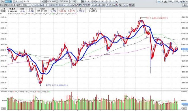 김건희 주가조작 재수사 착수5