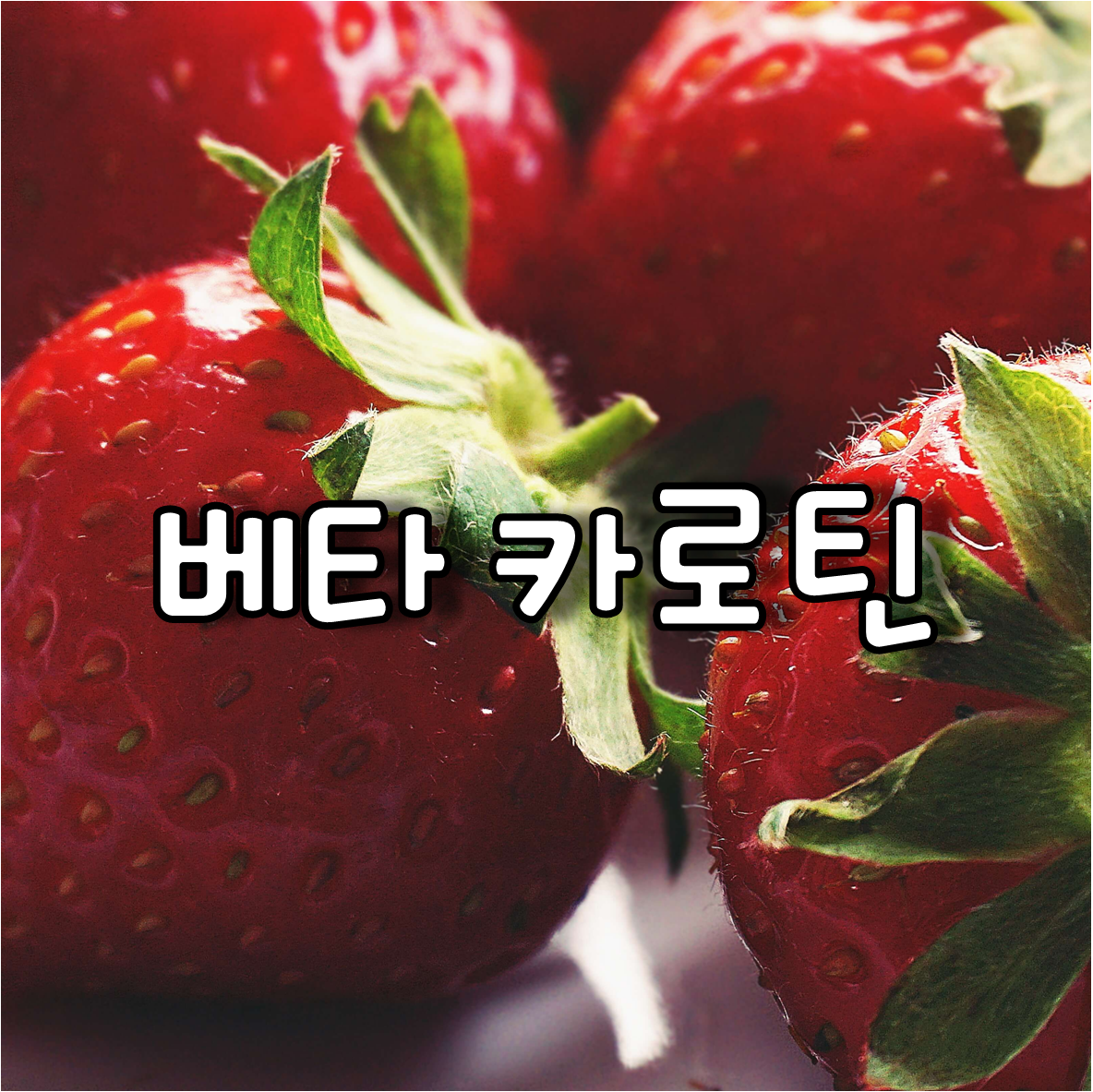 딸기
