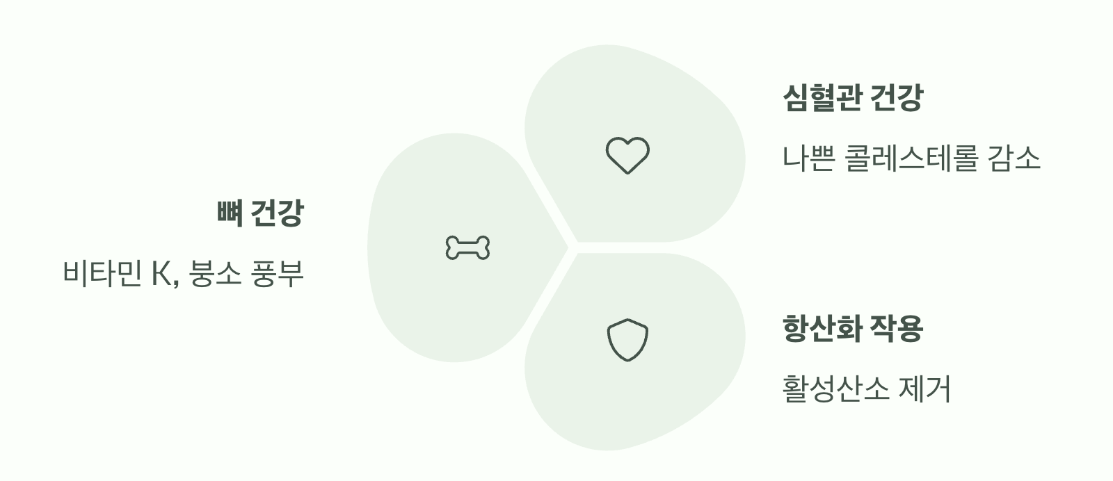 변비를 넘어, 건강을 선물하다