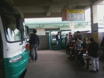 안동 시외버스터미널 시간표 예매 요금_19