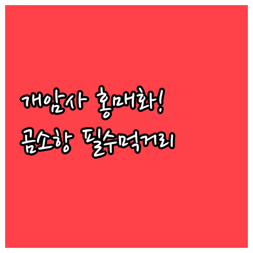 이른 봄의 정취를 느끼는 부안 여행 ..