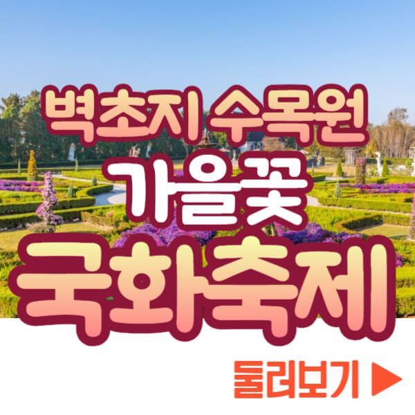 벽초지 수목원 가을꽃 국화축제 보기