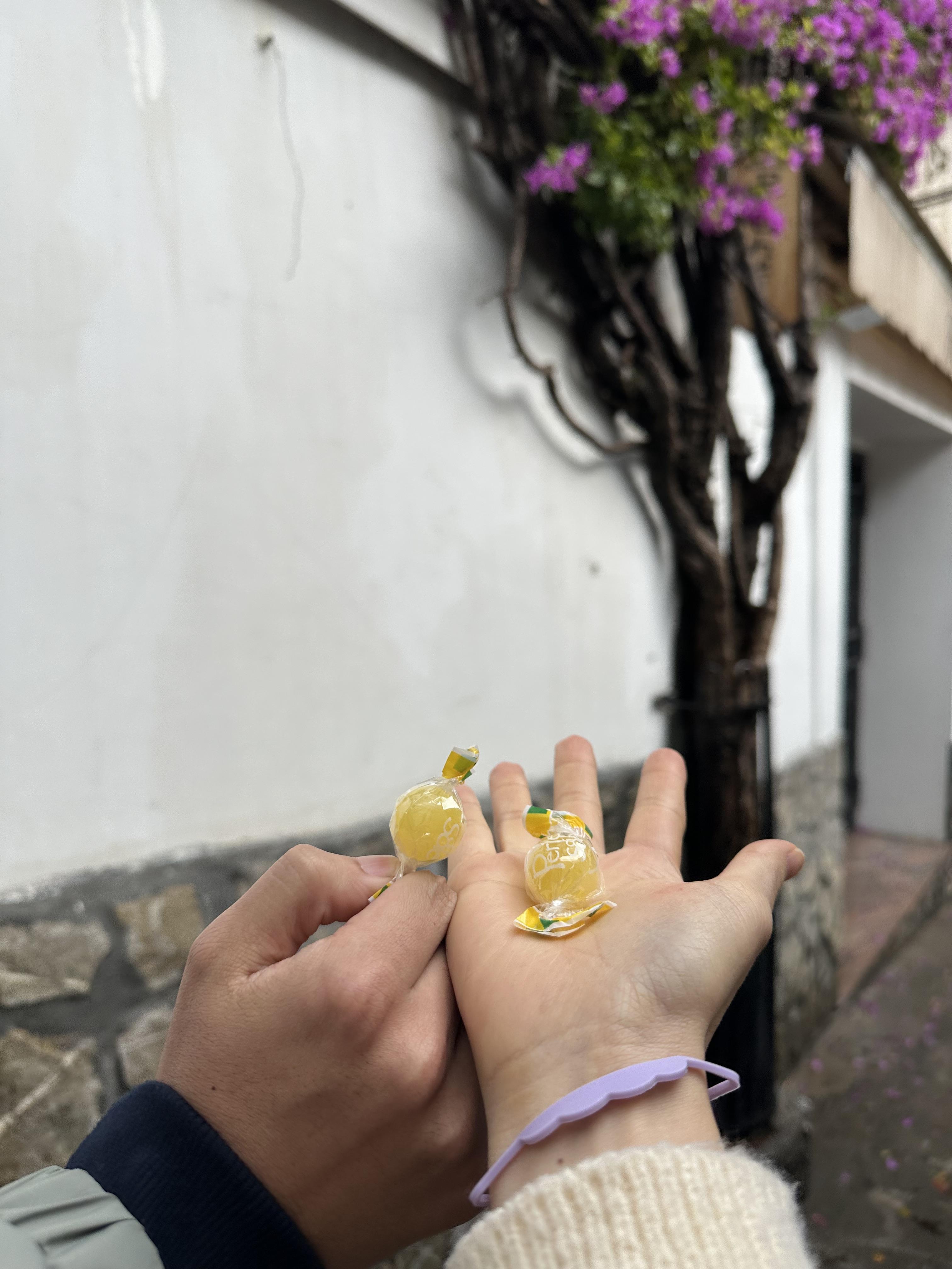 포지타노 레몬캔디