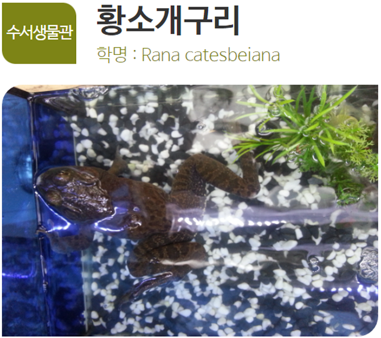 아산 생태곤충원