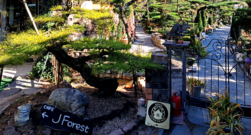 특색있고 아름다운 민간 정원 30선 추천 여행 - 26. 정읍 들꽃마당(제이포렛)