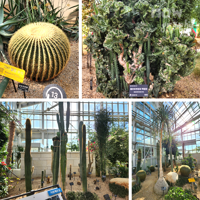 국립세종수목원