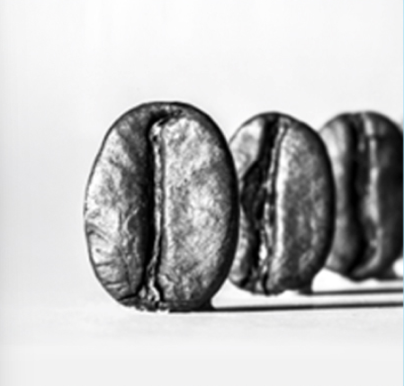 글로벌 커피 챔피언십_시그니처 로스팅