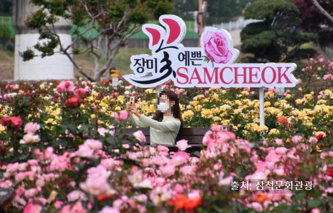 삼척장미공원 장미꽃축제