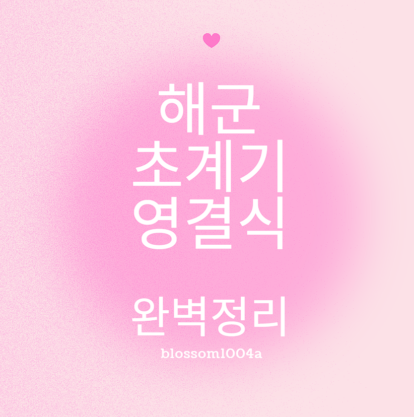 해군 초계기 영결식 완벽정리
