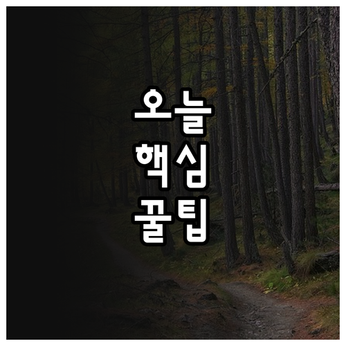 0세부터 5세까지 2025 영유아보육..