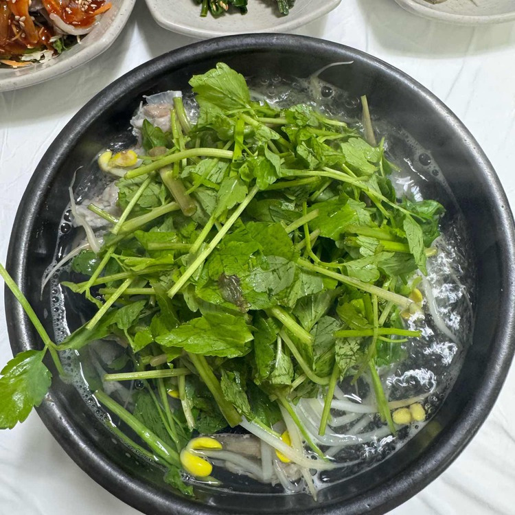 통영 맛집 어촌싱싱회해물탕 방문 팁