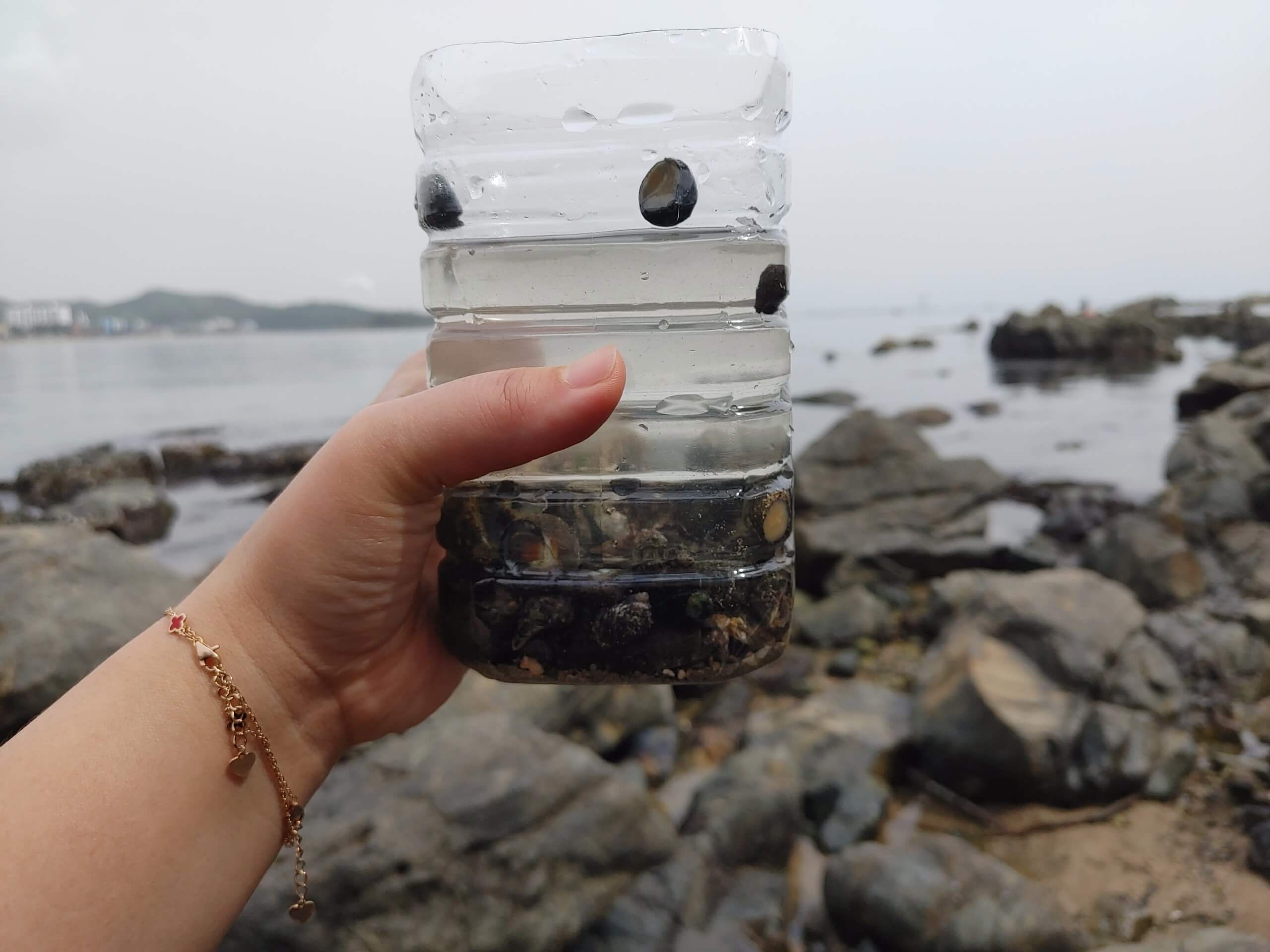 더_카이트21_펜션_해변가_꽃게_고동잡기2