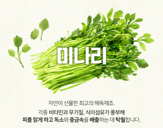 미나리입니다.