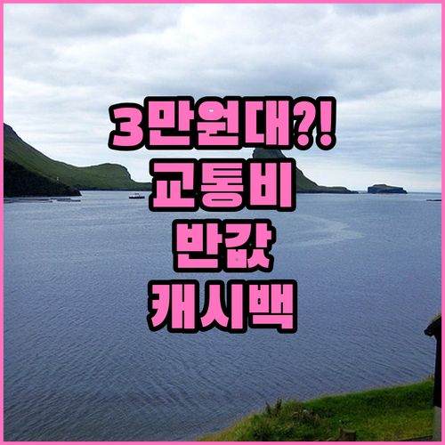 기후동행카드 캐시백 적용 시 실질 교..