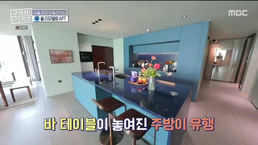 구해줘홈즈 고덕한 산책가 동물병원 인접 강동구 고덕 전세 매매 매물 가격 및 구조 인테리어 리모델링 최종선택 강재준 양세찬 소개