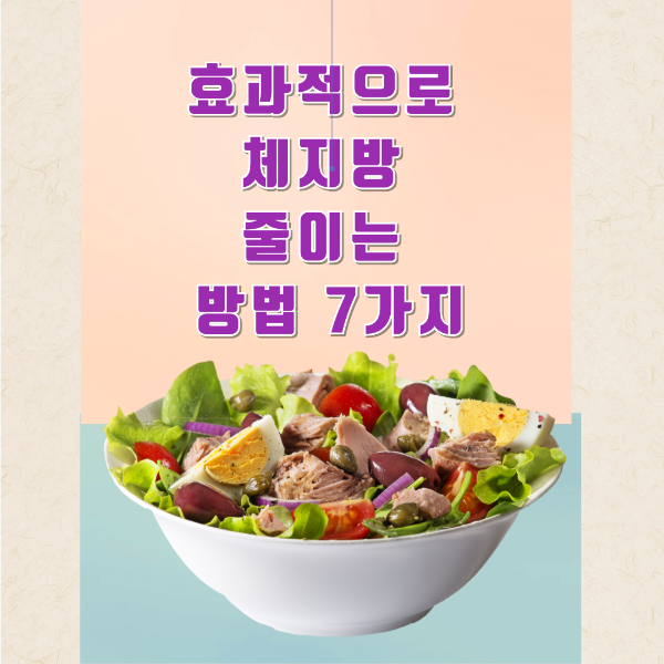 효과적으로 체지방 줄이는 샐러드 이미지