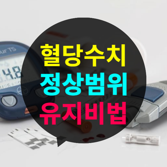 혈당 수치 정상 범위와 유지 비법 총정리