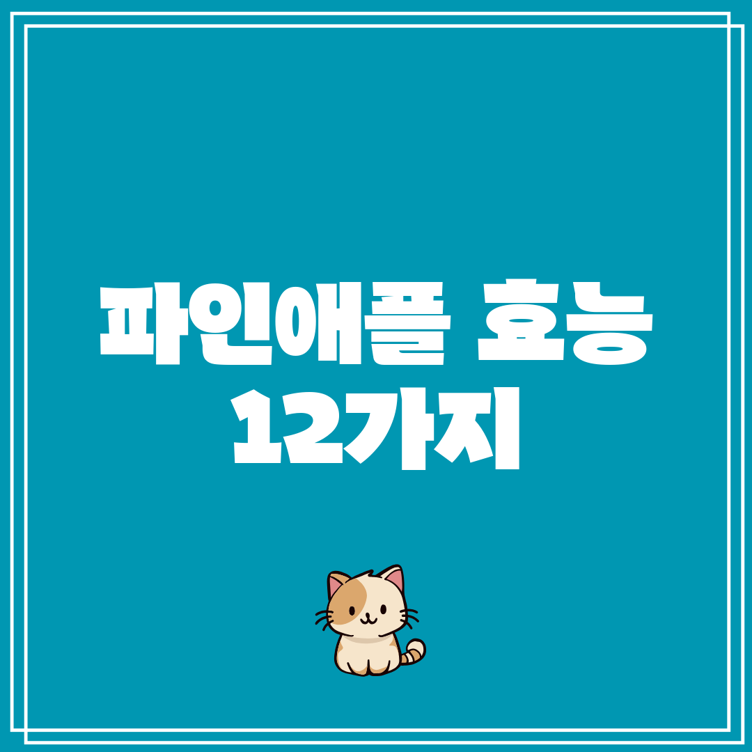파인애플 효능 12가지