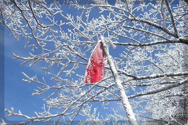 새해 맞이 한라산 야간 탐방예약안내 이용요금