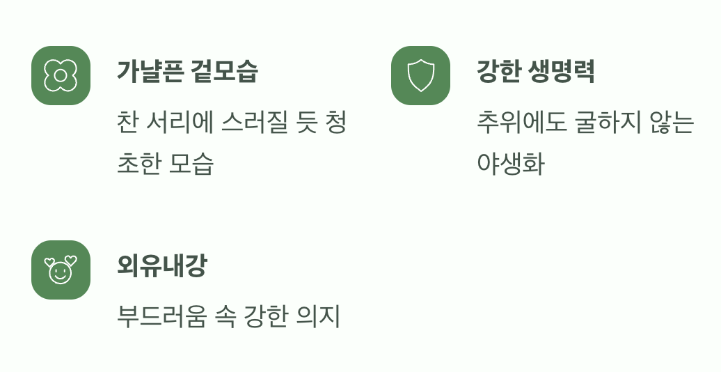 가련함 속에 숨겨진 강인함
