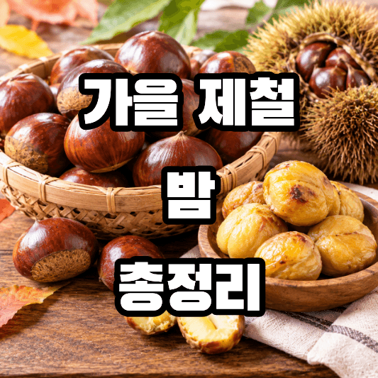 밤의 효능
