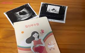 고위험 산모 임산부 지원금 자격 의료비 신청방법