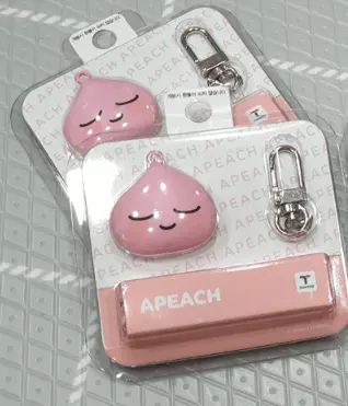 키링형 티머니카드