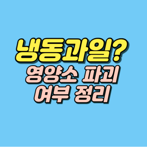냉동과일 유통기한