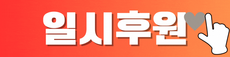 독거노인 일시후원