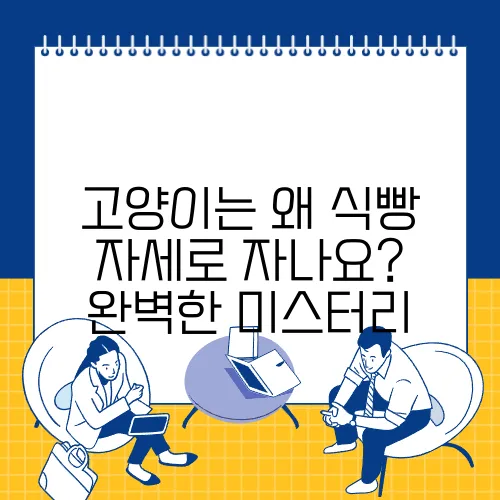 고양이는 왜 식빵 자세로 자나요? 완벽한 미스터리