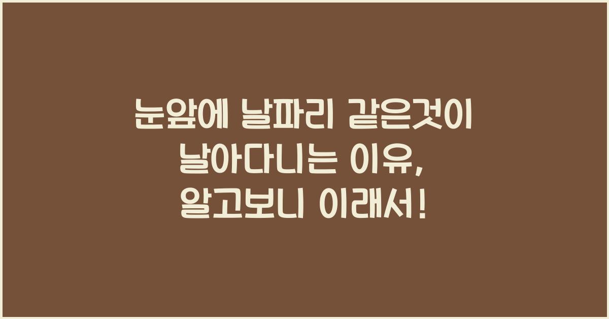 눈앞에 날파리 같은것이 날아다니는 이유