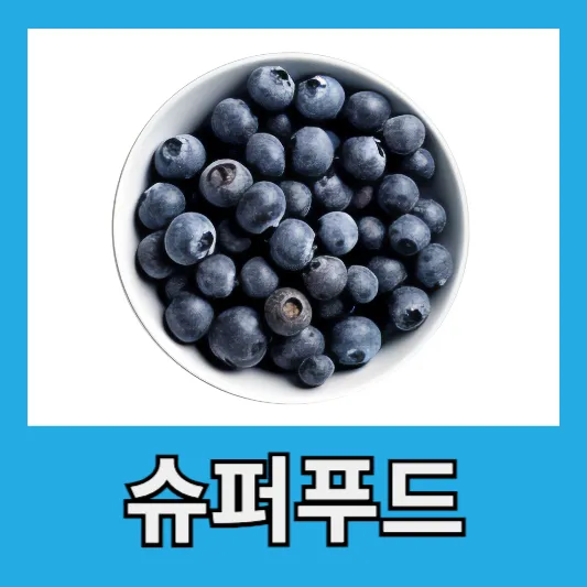 "슈퍼푸드 블루베리"