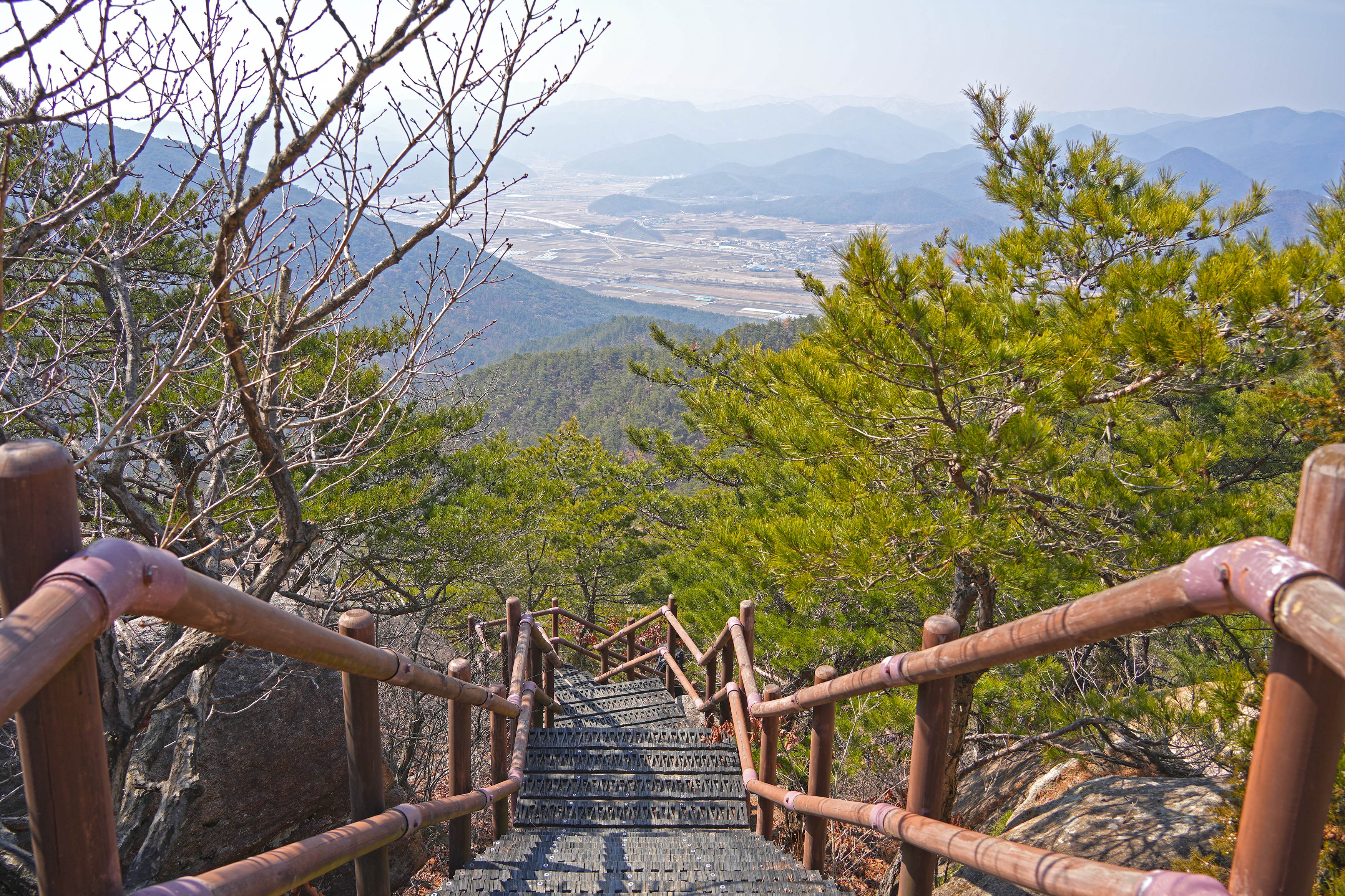 경주 남산 관련사진 4