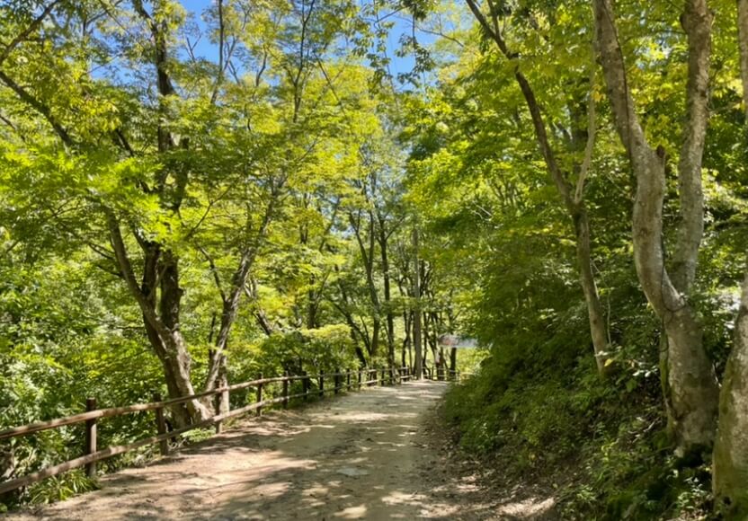 주왕산 산책로