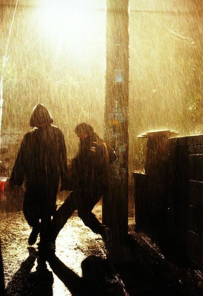 공공의 적 네이버영화