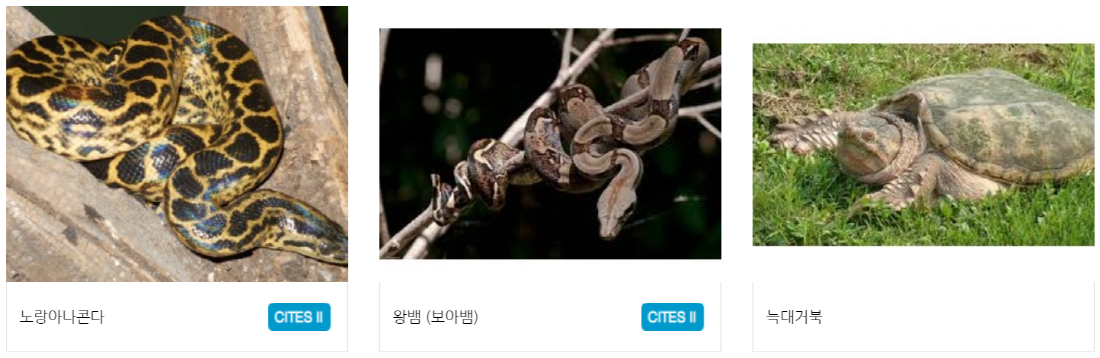 구미 쥬쥬동산
