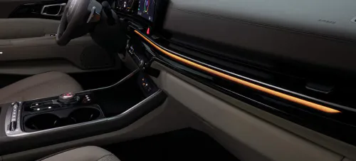 카니발 실내 엠비언트라이트