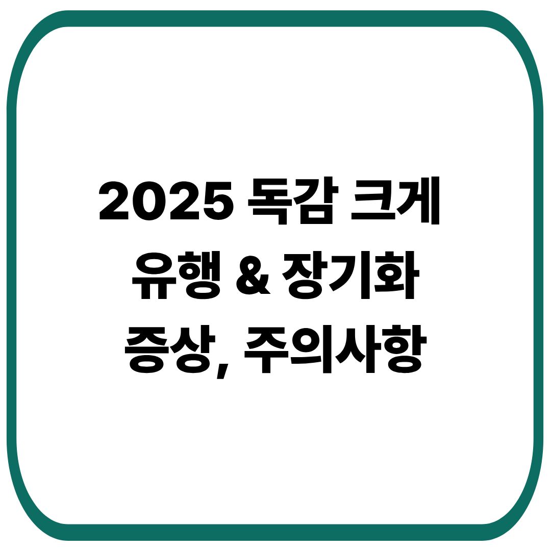 2025년 독감증상, 예방 접종, 치료 및 주의사항